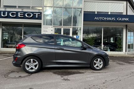 Ford Fiesta Gebrauchtwagen
