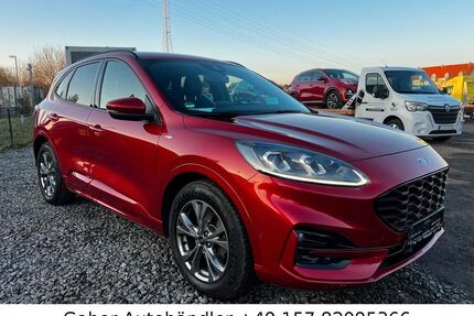 Ford Kuga Gebrauchtwagen