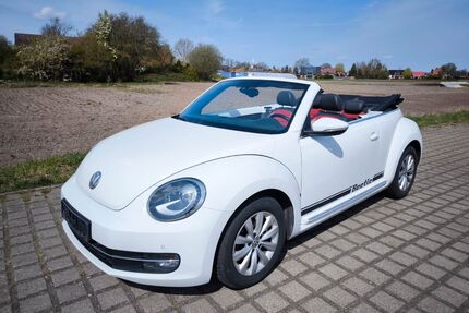 VW Beetle Gebrauchtwagen