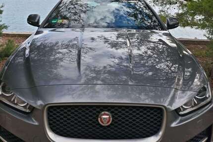 Jaguar XE Gebrauchtwagen