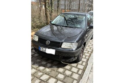 VW Polo Gebrauchtwagen