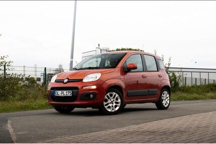 Fiat Panda Gebrauchtwagen