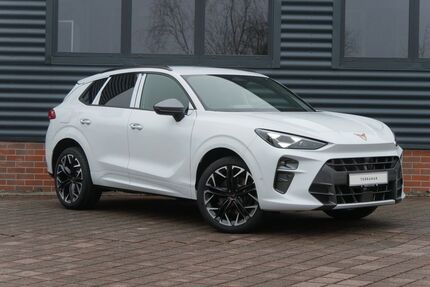 Cupra Terramar Gebrauchtwagen