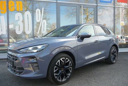 Cupra Terramar Gebrauchtwagen