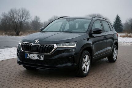 Skoda Karoq Gebrauchtwagen