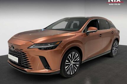 Lexus RX 450 Gebrauchtwagen