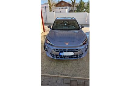 Cupra Terramar Gebrauchtwagen