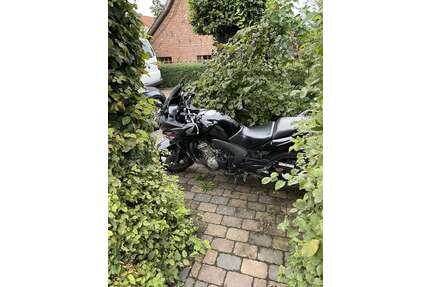 Honda CBF 600 Gebrauchtwagen