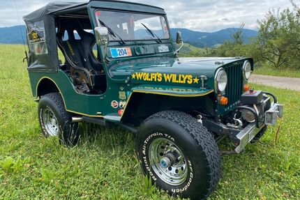 Jeep Willys Oldtimer