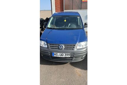 VW Caddy Gebrauchtwagen