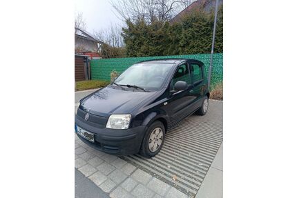 Fiat Panda Gebrauchtwagen