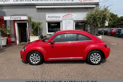 VW Beetle Gebrauchtwagen