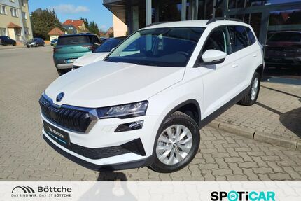 Skoda Karoq Gebrauchtwagen