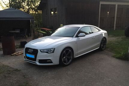 Audi A5 Gebrauchtwagen