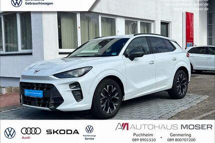 Cupra Terramar Gebrauchtwagen