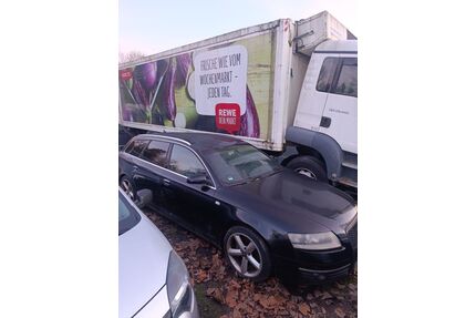 Audi A6 Gebrauchtwagen