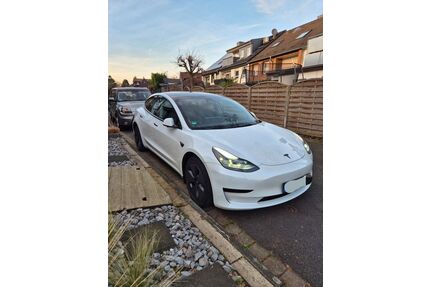 Tesla Model 3 Gebrauchtwagen