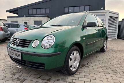 VW Polo Gebrauchtwagen