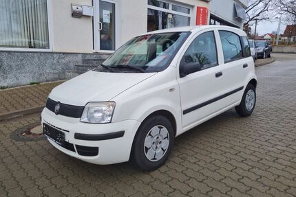 Fiat Panda Gebrauchtwagen