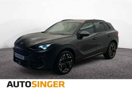 Cupra Terramar Gebrauchtwagen