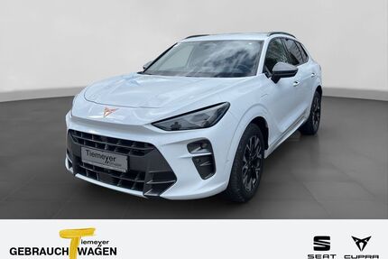 Cupra Terramar Gebrauchtwagen