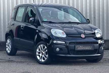 Fiat Panda Gebrauchtwagen