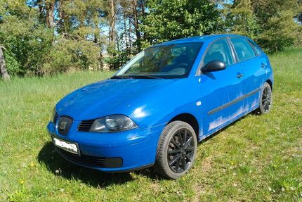 Seat Ibiza Gebrauchtwagen