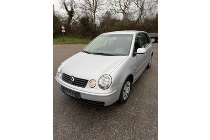 VW Polo Gebrauchtwagen