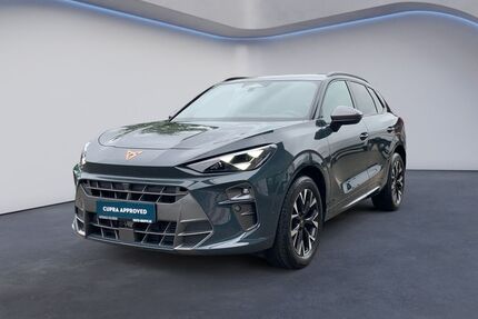 Cupra Terramar Gebrauchtwagen