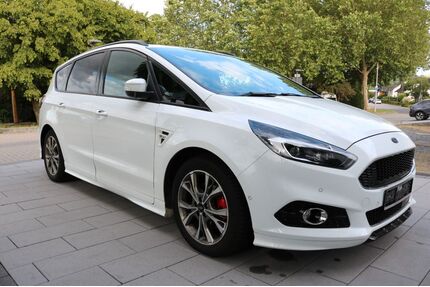 Ford S-Max Gebrauchtwagen