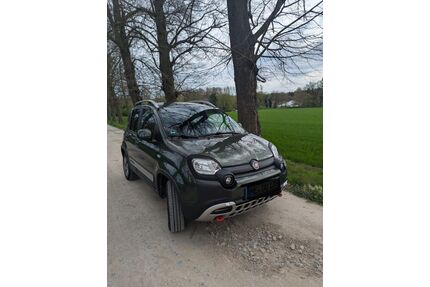 Fiat Panda Gebrauchtwagen
