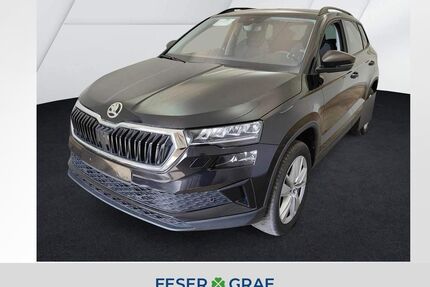 Skoda Karoq Gebrauchtwagen