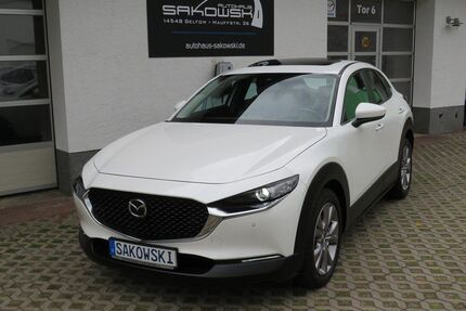 Mazda CX-30 Gebrauchtwagen