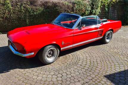 Ford Mustang Gebrauchtwagen