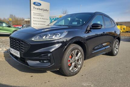 Ford Kuga Gebrauchtwagen