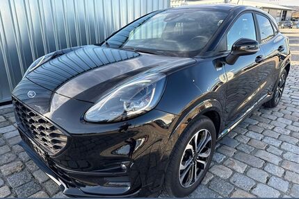 Ford Puma Gebrauchtwagen