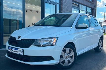 Skoda Fabia Gebrauchtwagen