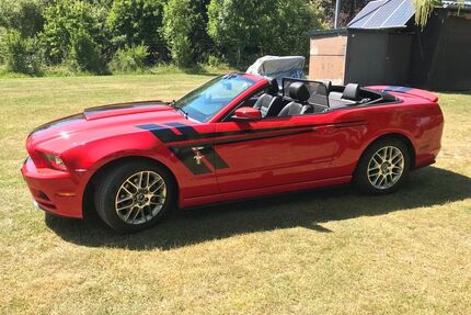 Ford Mustang Gebrauchtwagen