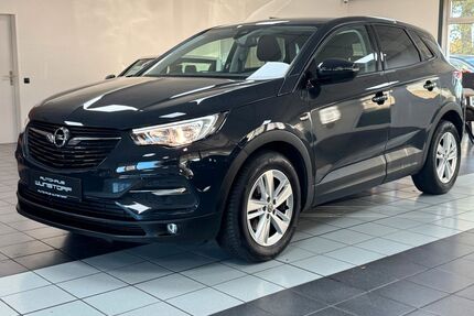 Opel Grandland (X) Gebrauchtwagen