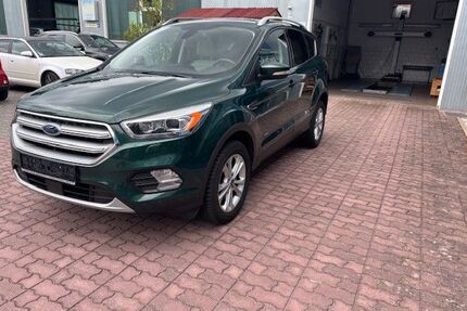 Ford Kuga Gebrauchtwagen