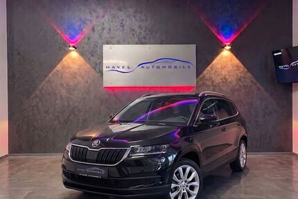 Skoda Karoq Gebrauchtwagen