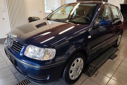 VW Polo Gebrauchtwagen