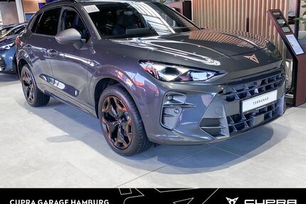 Cupra Terramar Gebrauchtwagen