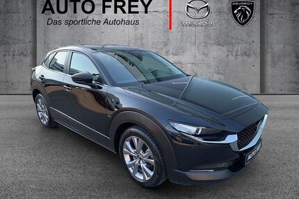 Mazda CX-30 Gebrauchtwagen