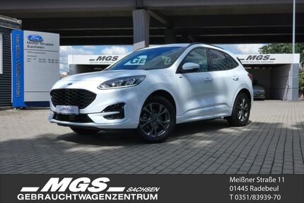 Ford Kuga Gebrauchtwagen
