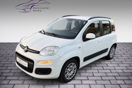 Fiat Panda Gebrauchtwagen