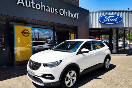 Opel Grandland (X) Gebrauchtwagen
