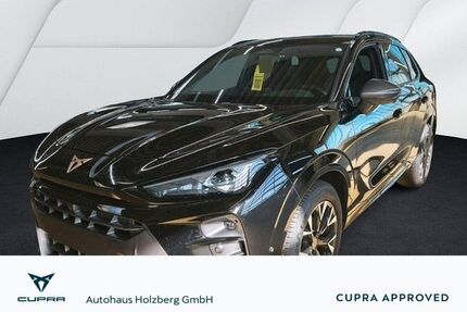 Cupra Terramar Gebrauchtwagen