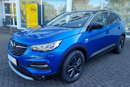 Opel Grandland (X) Gebrauchtwagen