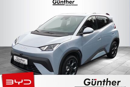 BYD DOLPHIN Gebrauchtwagen